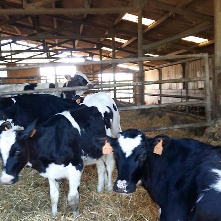 Charmante Maison A La Ferme Valderies المظهر الخارجي الصورة