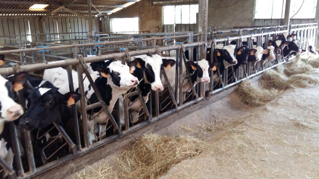 Charmante Maison A La Ferme Valderies المظهر الخارجي الصورة