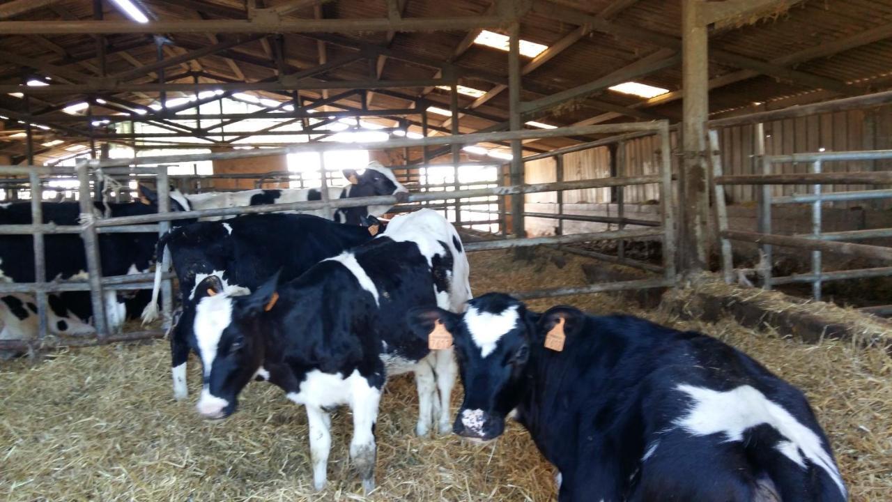 Charmante Maison A La Ferme Valderies المظهر الخارجي الصورة